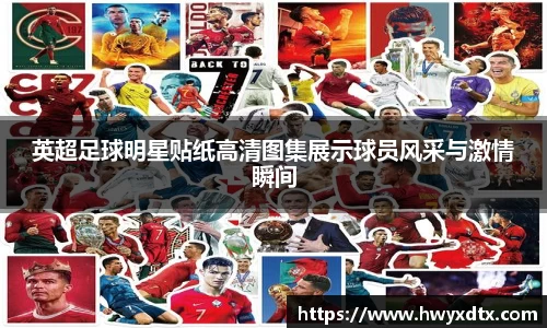 龙8国际